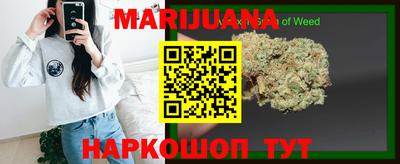 сатива Будённовск